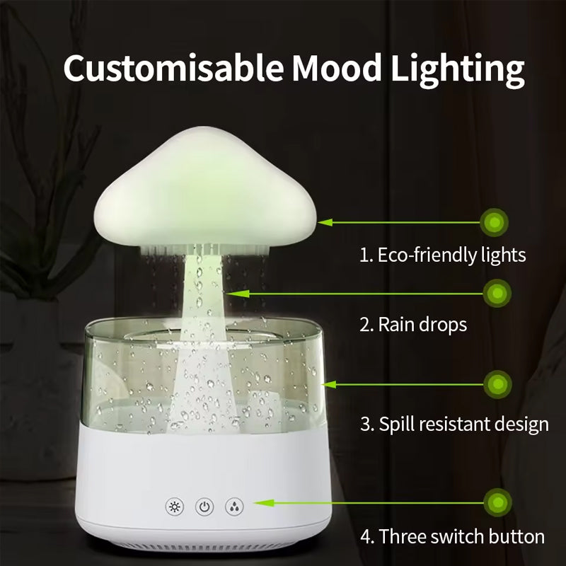 THE MISTY CLOUD HUMIDIFIER