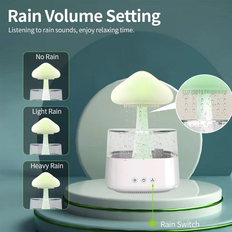 THE MISTY CLOUD HUMIDIFIER