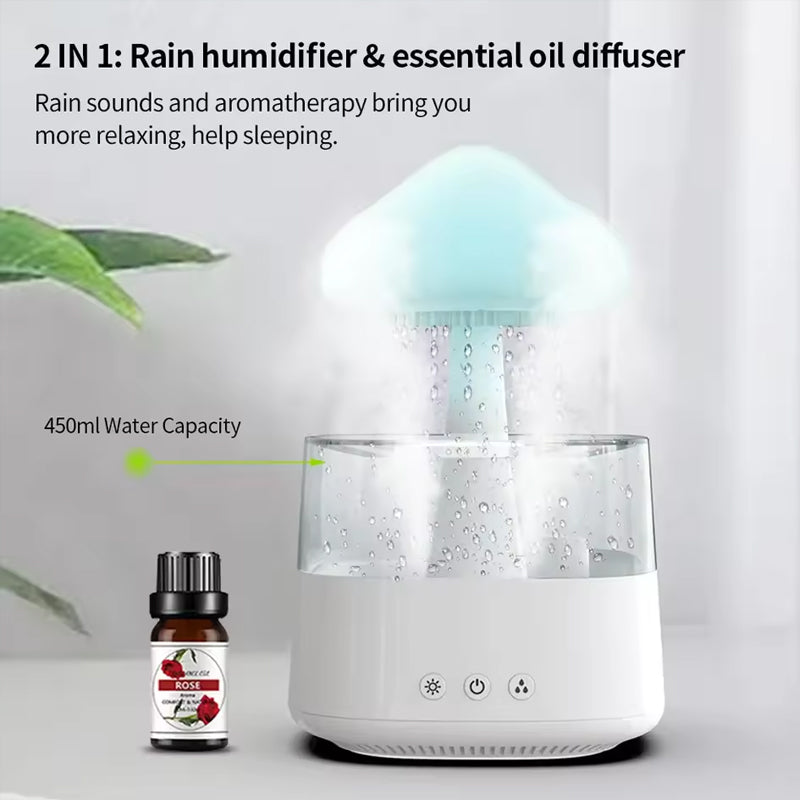 THE MISTY CLOUD HUMIDIFIER