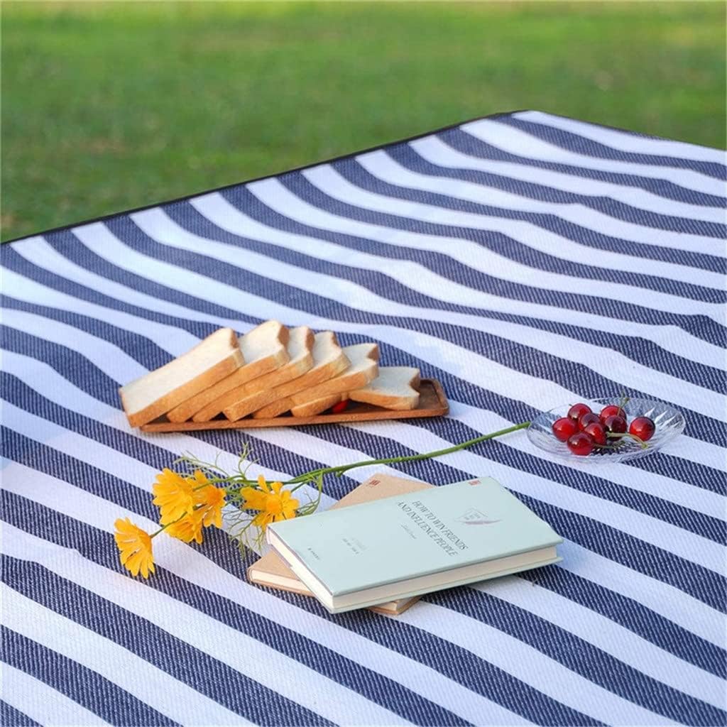 ROLL UP PICNIC BLANKET (BLUE-WHITE)