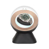 SPINSPHERE ROTATING WATCH WINDER CASE